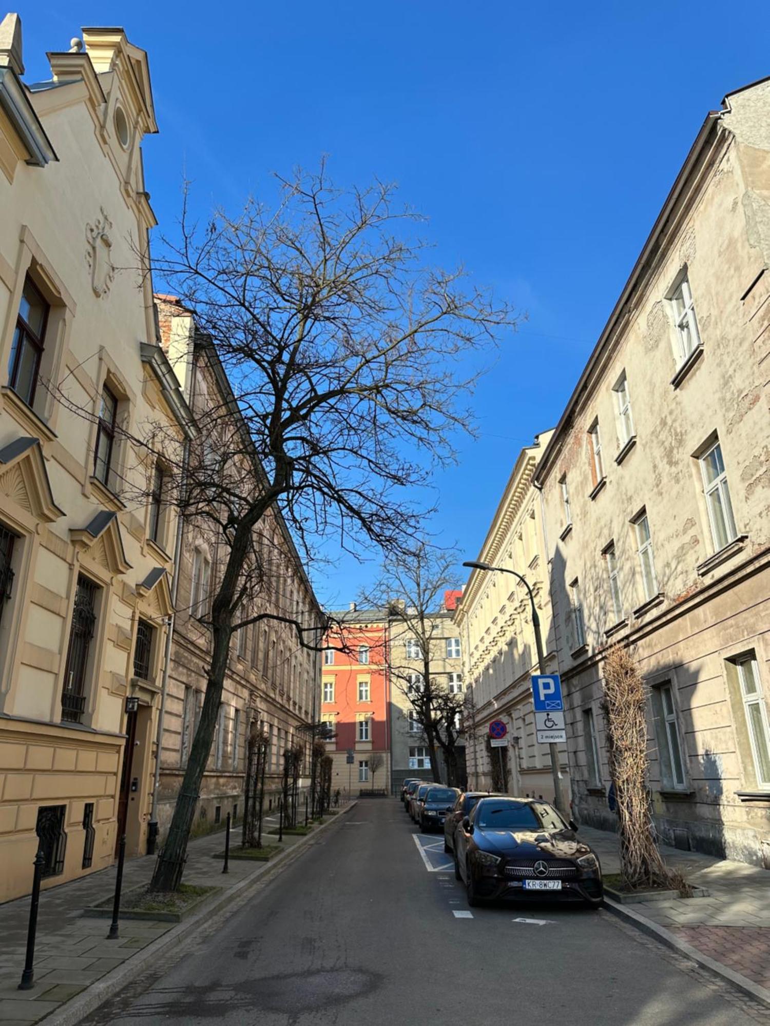 Perfect Place To Stay In Krakow City Center 40M2 W4 외부 사진